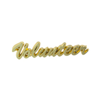 Volunteer Large Gold Pin